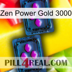 Zen Power Gold 3000 03